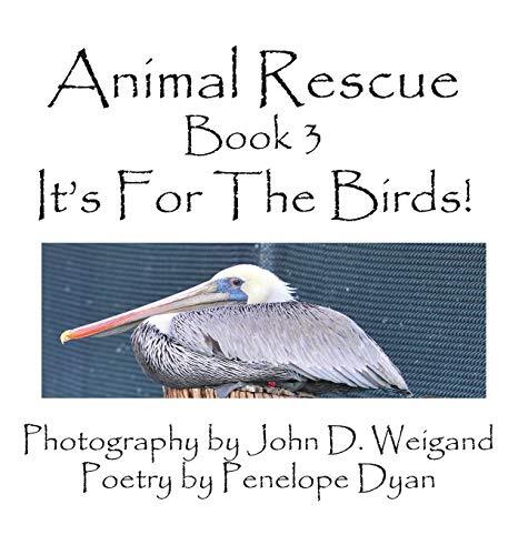 Animal rescue book it - rescue,, 3,