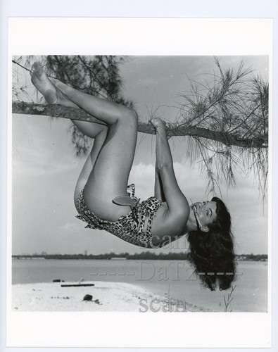 Original bunny yeager - bunny,