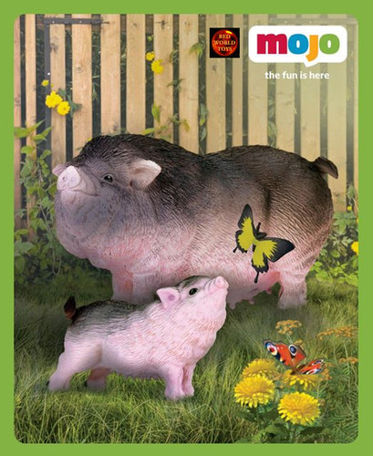 Pot bellied pig and piglet - pot,