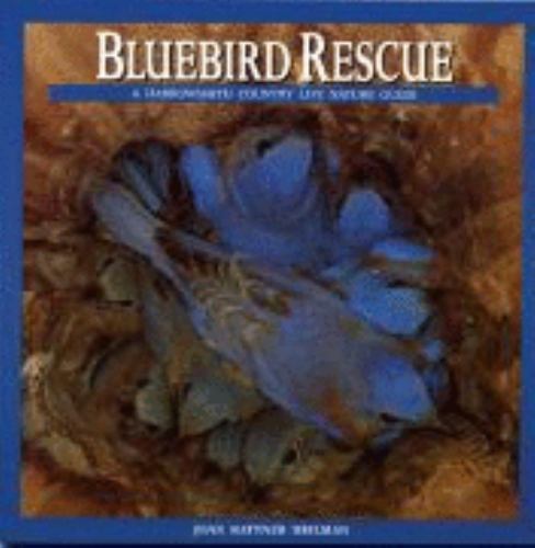 Bluebird rescue country - bluebird, life