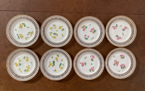 Dresden porcelain flowers - dresden,