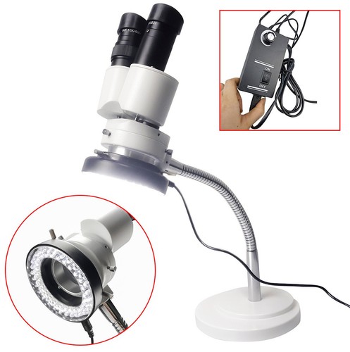 10x magnification dental - 10x,