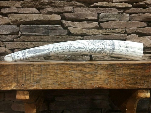 Historic scrimshaw walrus tusk - historic,