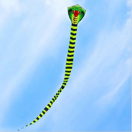 2024 large trilobite snake - 2024,