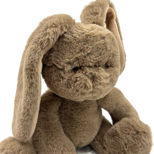 Lop ear brown - ear,