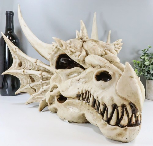 Large elder dragon skull - elder,