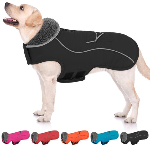 Dog coat large - coat,,