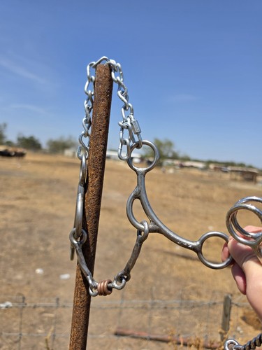 Barrel racing reverse gag - barrel,