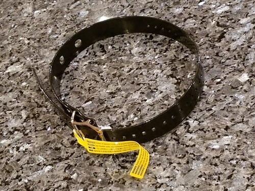 Sportdog collar strap for - strap,