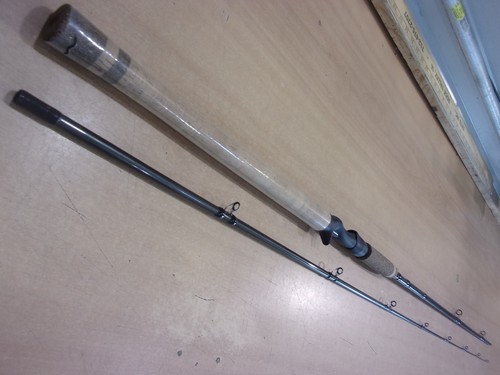 Fenwick hmx casting rod - , 9