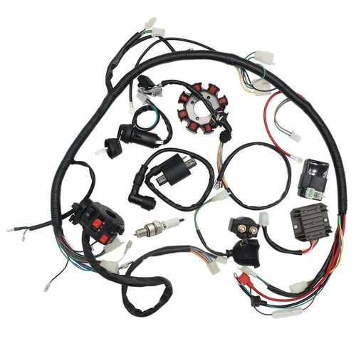 Electric wiring harness - harness, wire