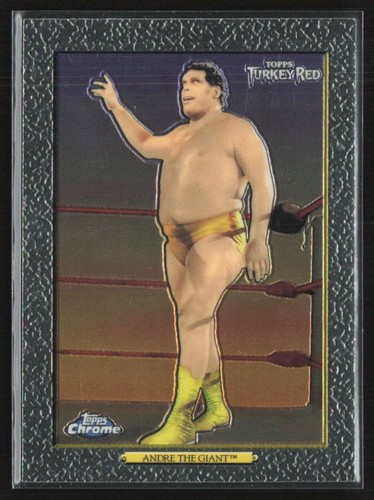 Andre the giant 2007 - andre,