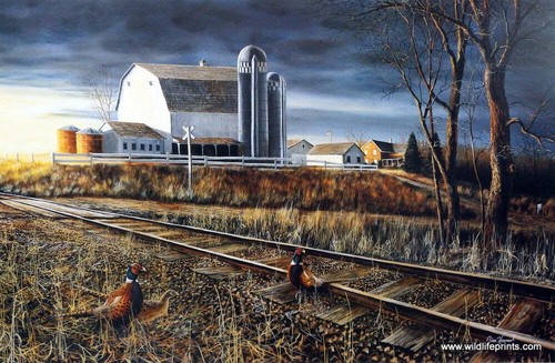 The crossing jim hansel - at,