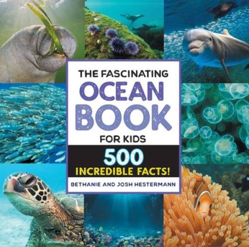 The fascinating ocean - ocean, for