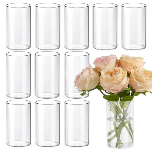 12pcs glass cylinder - 12pcs,