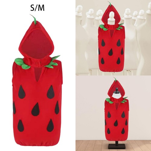 Kids costume strawberry - costume, tops