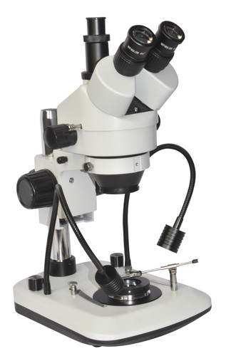 Professional gemology - professional,