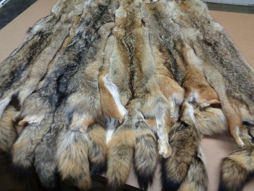 Tanned xxl semi - , xxl/xl