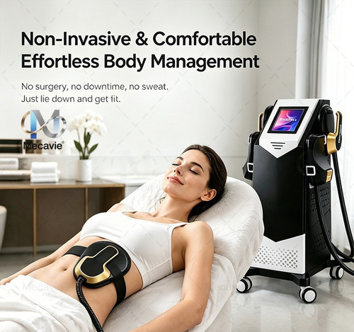 Mecavie 6500w hiemt body - mecavie,