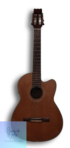 Vantage acoustic guitar - vantage,