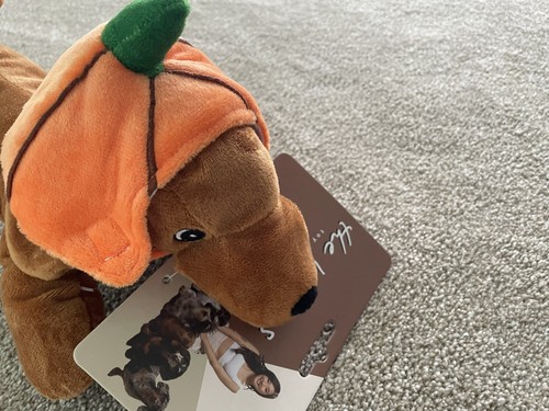 New the weens dachshund - the,