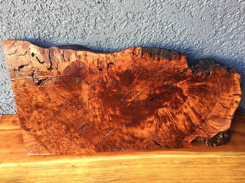 Madrone burl slab - slab, charcuterie