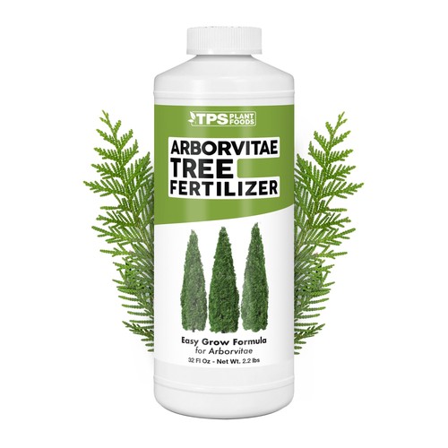 Arborvitae tree fertilizer - tree,