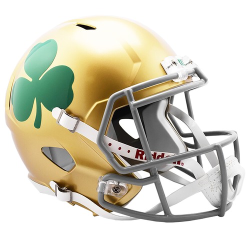 Notre dame fighting irish - dame,