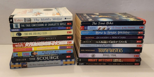 Lot chapter books - lot, for