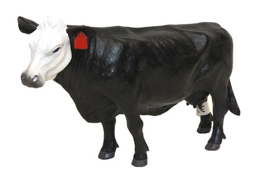 Little buster toys - buster, black