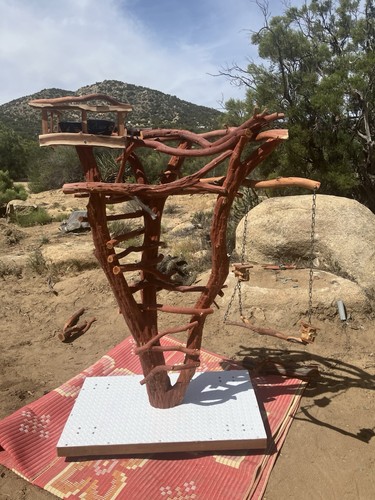 Manzanita bird perch for - manzanita,