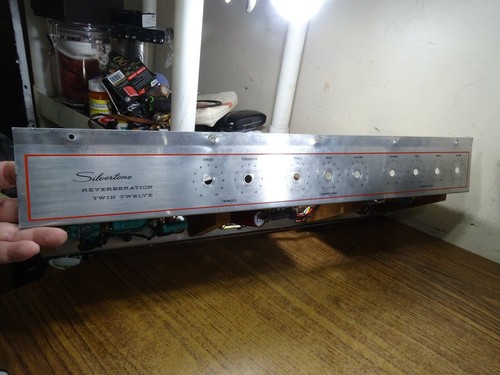 Vintage silvertone - vintage,