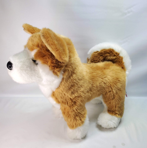 Dunham shiba inu - dunham,