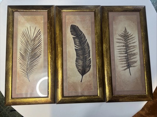 Botanical framed artwork - botanical,
