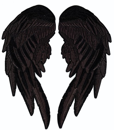 Midnight black angel wing - midnight,