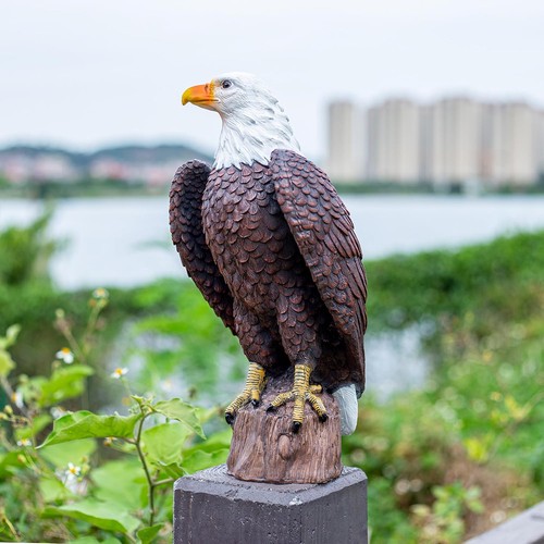Bald eagle statue outdoor - statue,