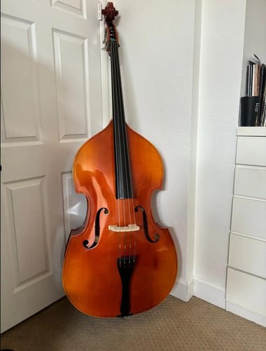 Double bass upright - bass,