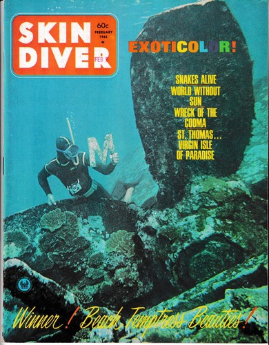 Skin diver magazine - magazine, february