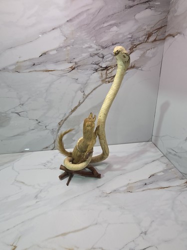 Vintage king cobra - king,