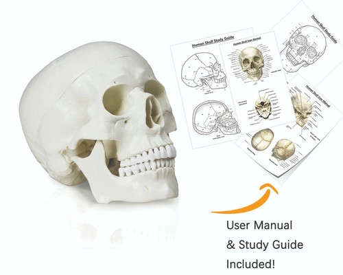 Vision scientific val207 - scientific, val207-a