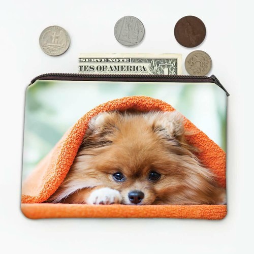Gift coin purse pomeranian - gift, :
