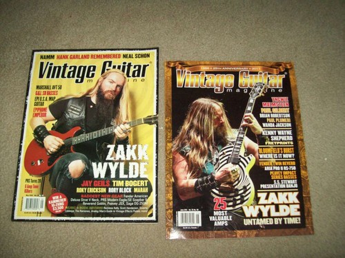 Vintage guitar 11 blues - vintage,