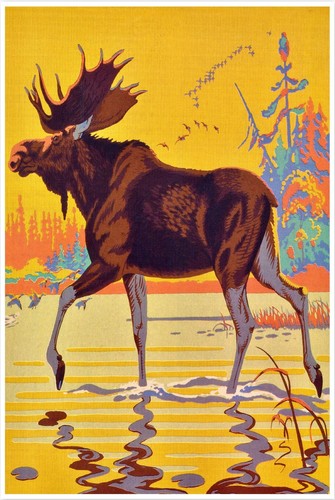 Canadian moose canada vintage - canadian,