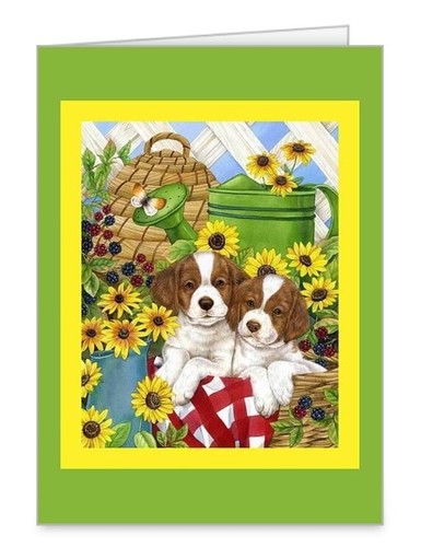 Set matching x 7 - set, 5”