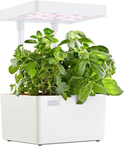 Hydroponic grow kit 2022 - hydroponic, kit,