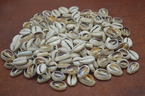 600 pcs small - 600, cut