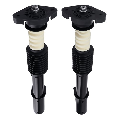 Rear struts 171831 for - rear,