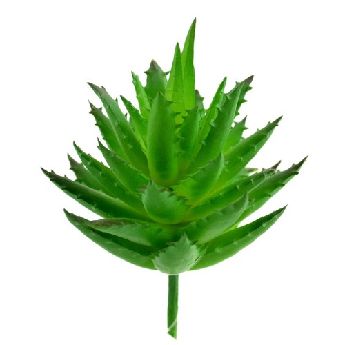Artificial succulent and or - succulent,,