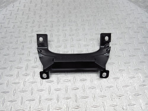 2009 aprilia tuono 1000 - 2009, 06-09
