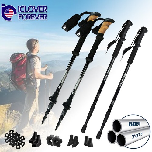 Pair trekking poles - pair,